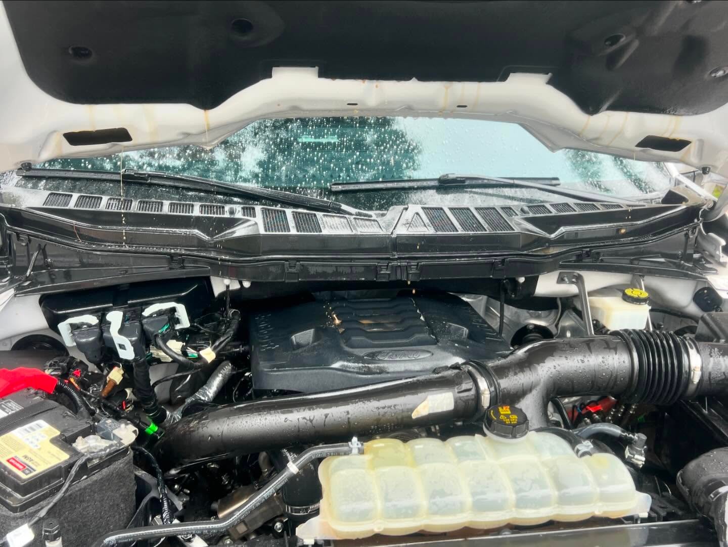 Exterior detailing and paint restoration